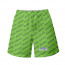 NFL Seattle Seahawks Beach Shorts Swim Pants Swimming Trunks - Seattle Seahawks Medley Monogram Wordmark