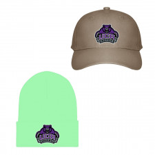 Central Arkansas Bears Baseball Cap Beanie Hat - University of Central Arkansas Bears College Football Team Single Logo