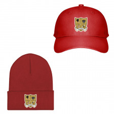 Beyonce Baseball Cap Beanie Hat - Beyonce Crest