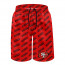 NFL San Francisco 49ers Beach Shorts Swim Pants Swimming Trunks - San Francisco 49ers Medley Monogram Wordmark