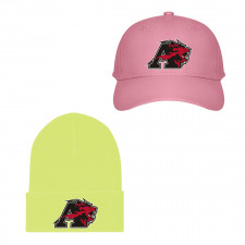 Albright College Lions Baseball Cap Beanie Hat - Albright College Lions College Football Team Single Logo