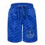 Everton Football Club Beach Shorts Swim Pants Swimming Trunks - Everton Football Club Medley Monogram Wordmark