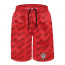 Southampton Football Club Beach Shorts Swim Pants Swimming Trunks - Southampton Football Club Medley Monogram Wordmark