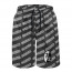 SC Freiburg Football Club Beach Shorts Swim Pants Swimming Trunks - Freiburg Football Club Medley Monogram Wordmark