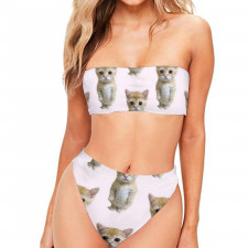 Cat Bandeau Bikini Two Piece Women's Swimsuit - Baby Cat Standing Pattern Art On Pink Background
